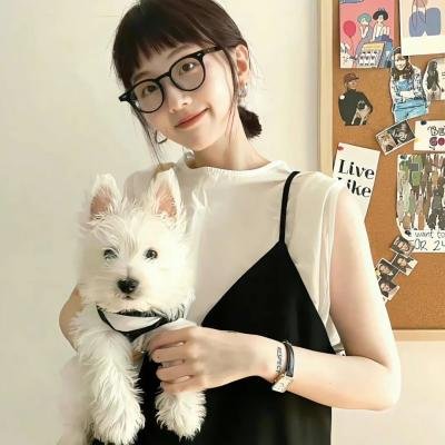 爱飞翔