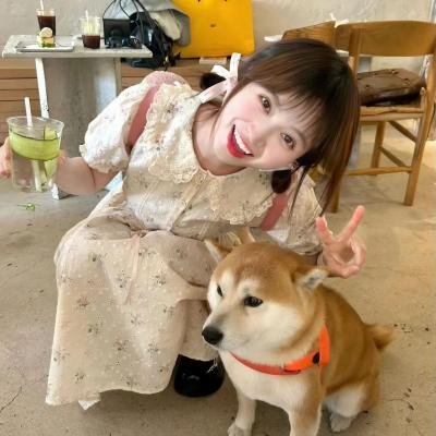 加菲猫的幸福生活第三季